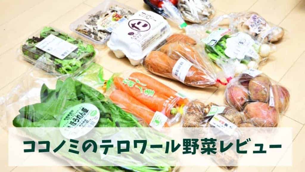 口コミで評判の野菜宅配ココノミを体験したみた！デロワール野菜ってなに？