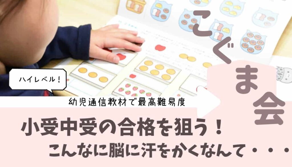 【口コミ評判】2歳にモコモコゼミは難しい？お試し方法、Z会・こどもちゃれんじと比較 | いちごドリル