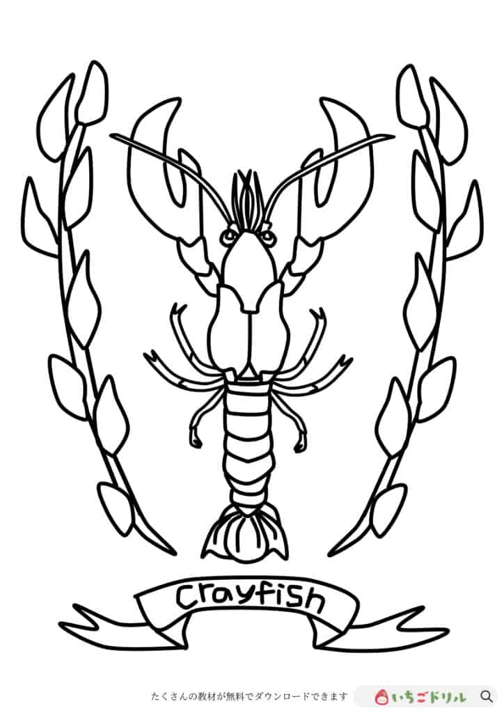 ざりがにのぬりえイラスト【無料ダウンロード】