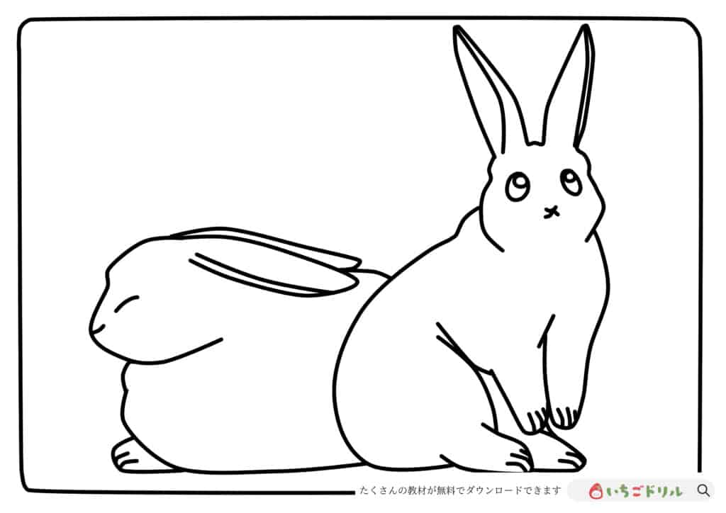 かわいいうさぎのぬりえ無料ダウンロード