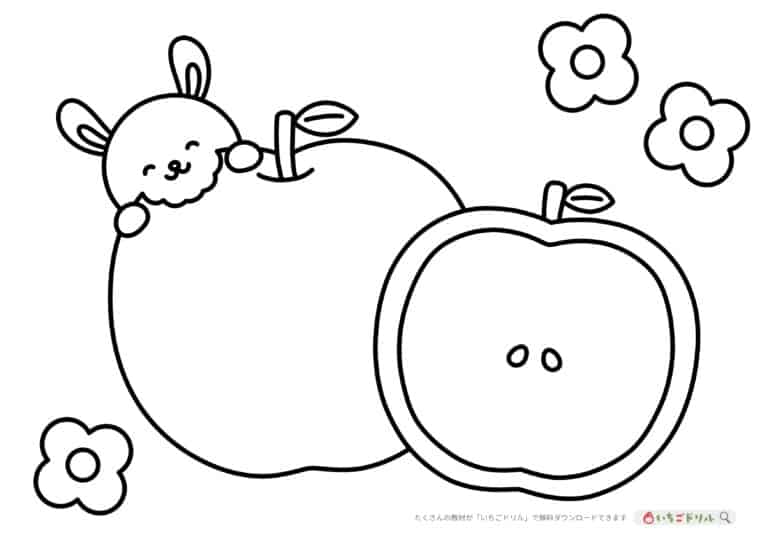 りんごのぬりえイラスト