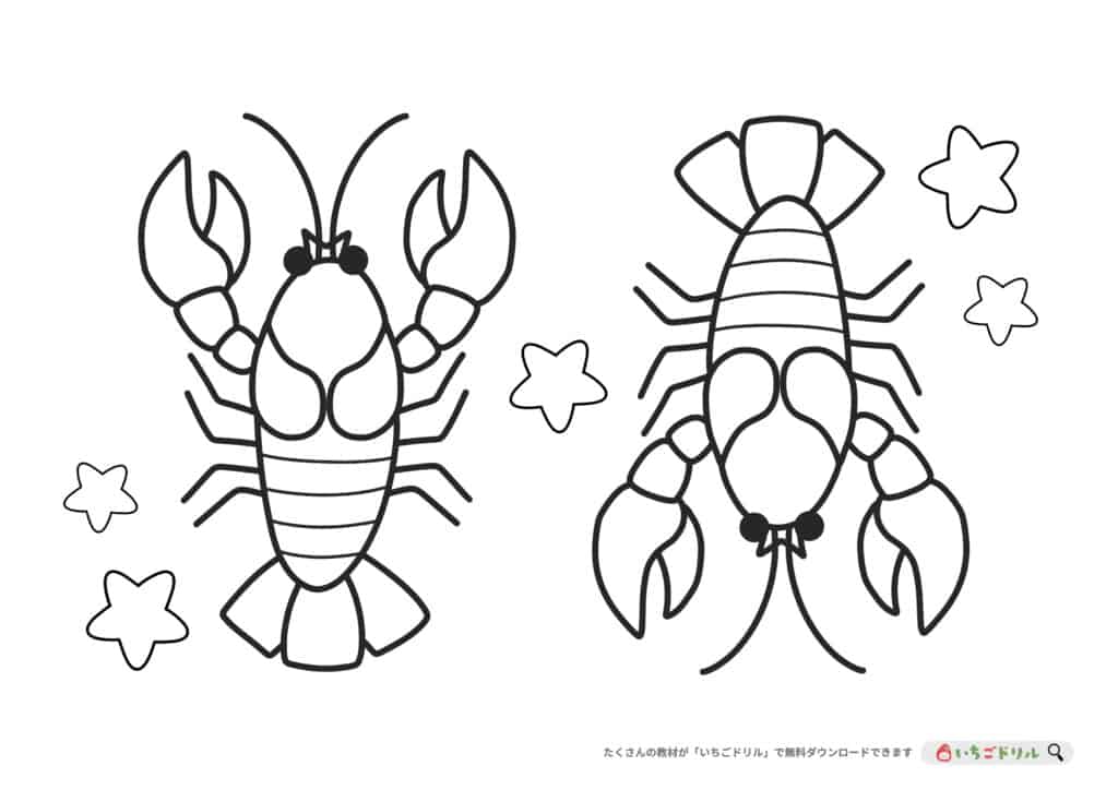 【無料ダウンロード】ザリガニのぬりえ