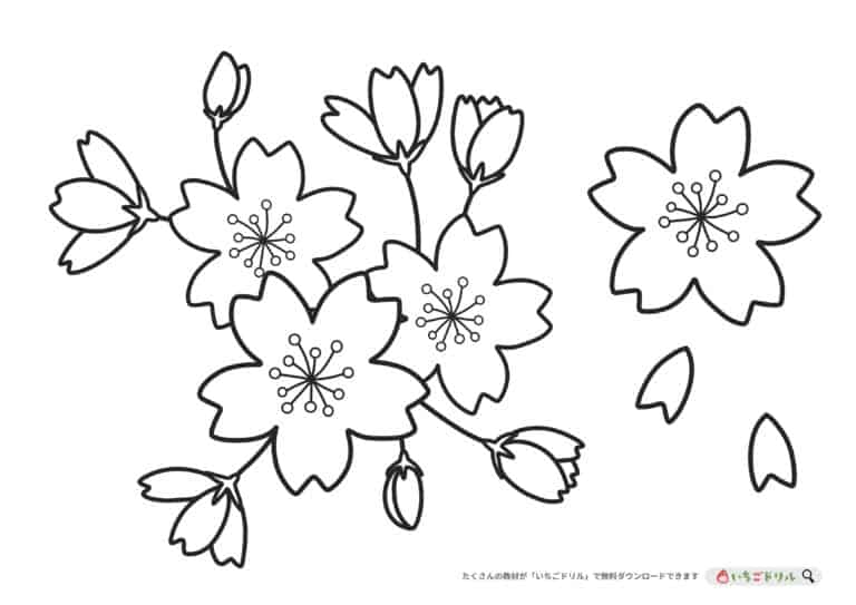 春のかわいいお花