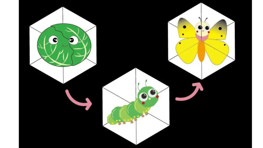 介護福祉保育教材保育学生小学校工作六角返し作り方無料教材