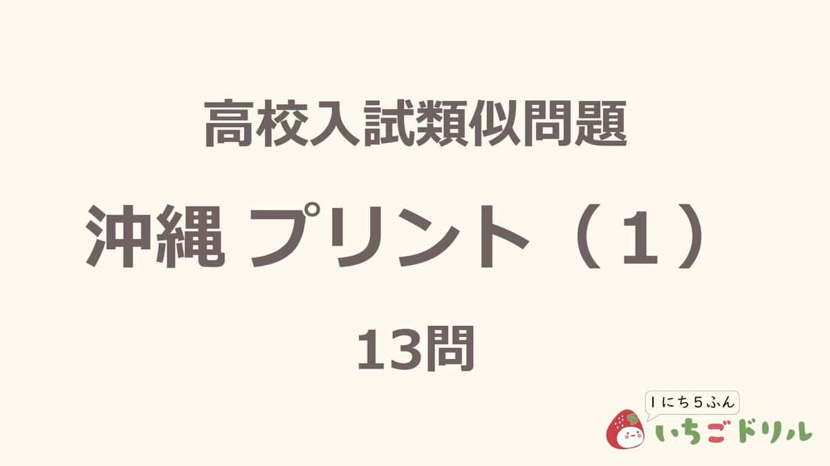 沖縄プリント 1
