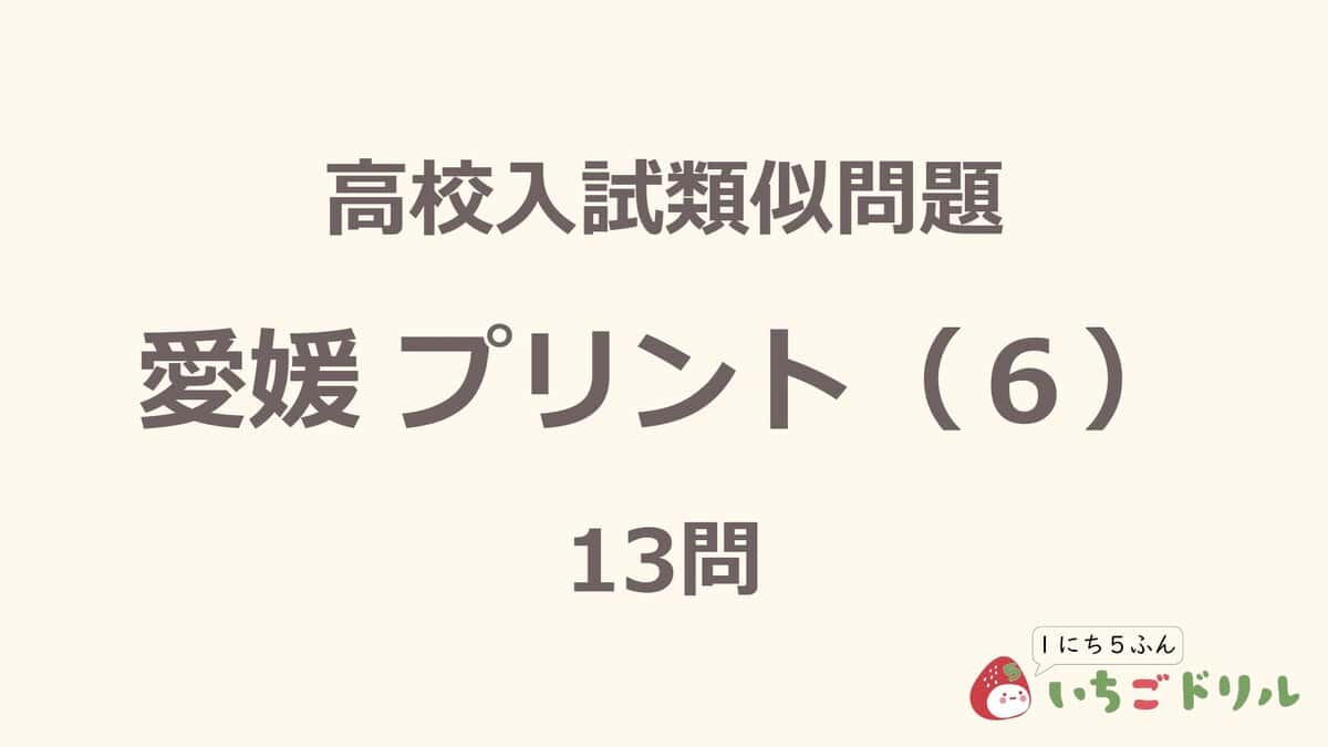 愛媛プリント 6
