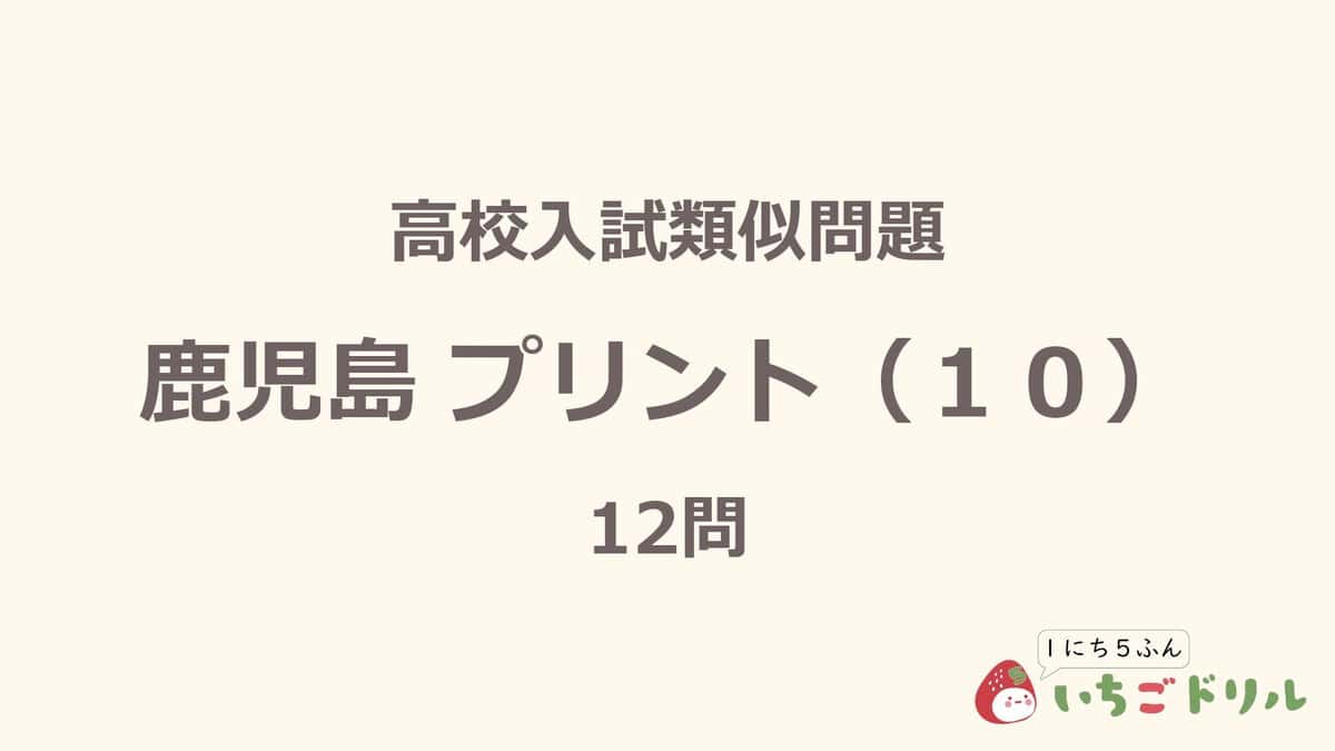 鹿児島プリント 10