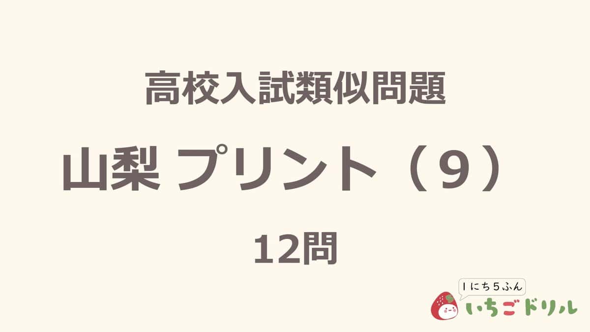 山梨プリント 9