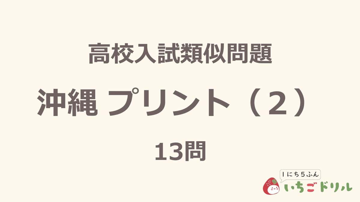 沖縄プリント 2