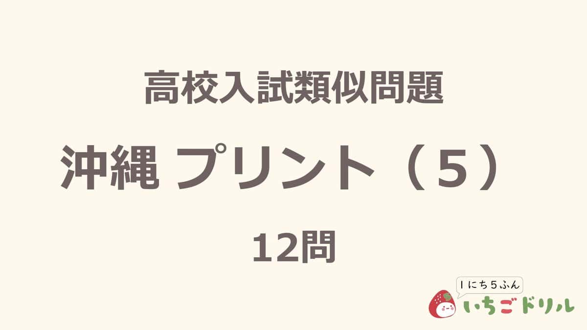 沖縄プリント 5