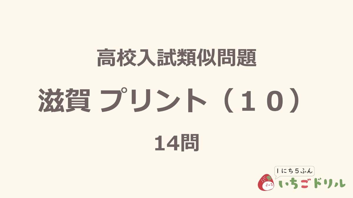 滋賀プリント 10