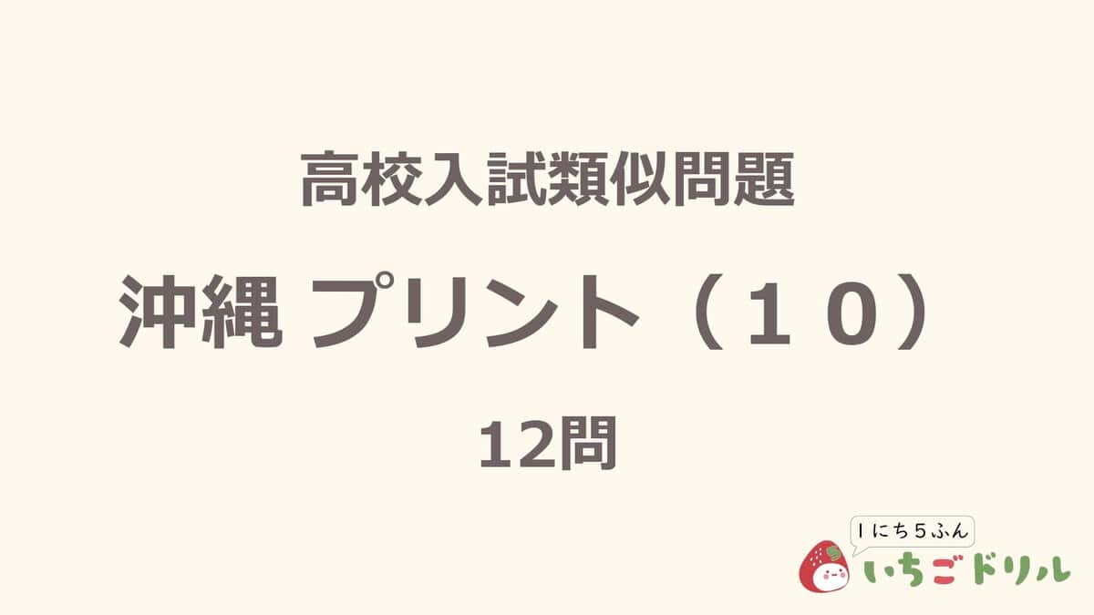 沖縄プリント 10