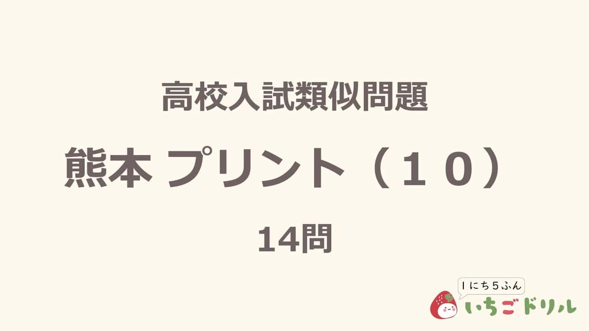 熊本プリント 10