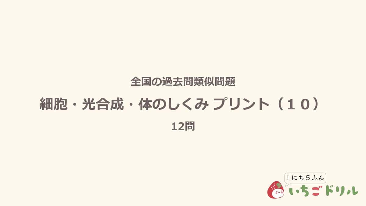 細胞・光合成・体のしくみプリント 10