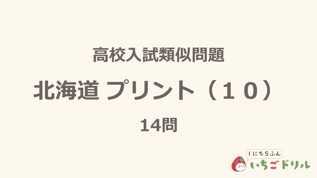 北海道プリント 10