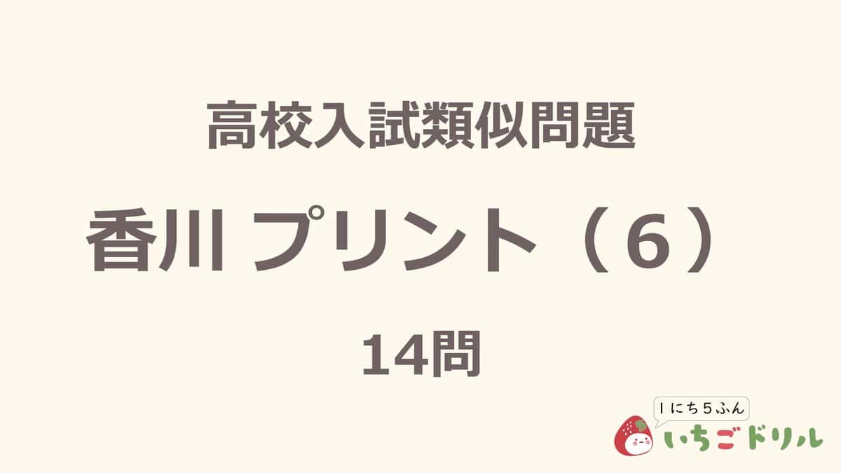 香川プリント 6