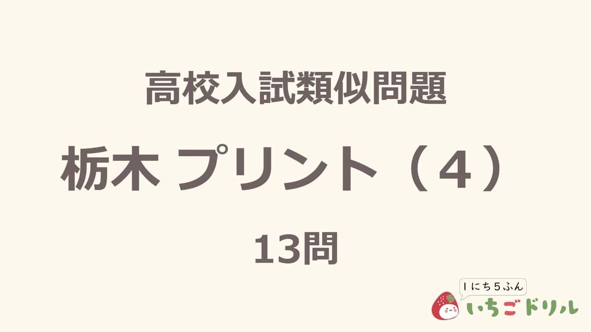 栃木プリント 4