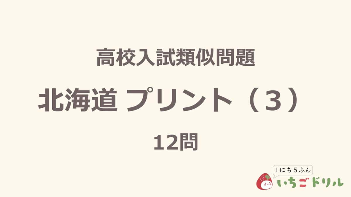 北海道プリント 3