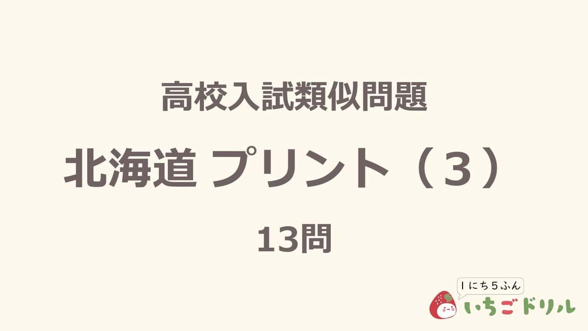 北海道プリント 3