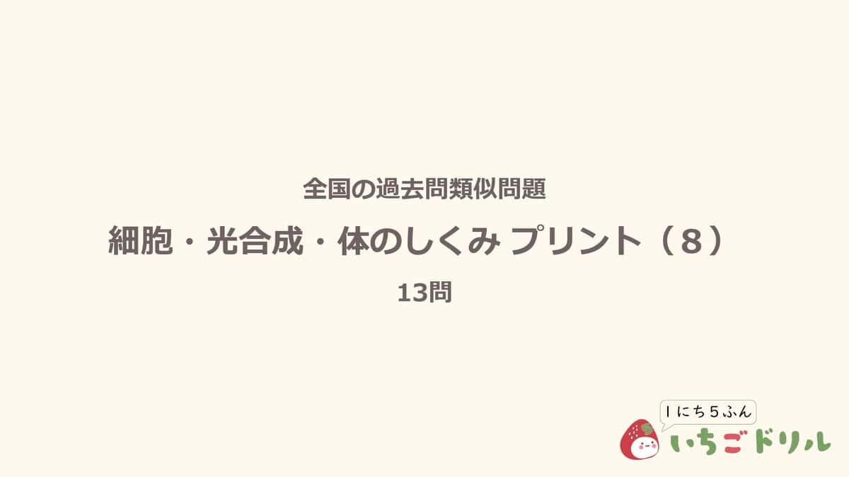 細胞・光合成・体のしくみプリント 8