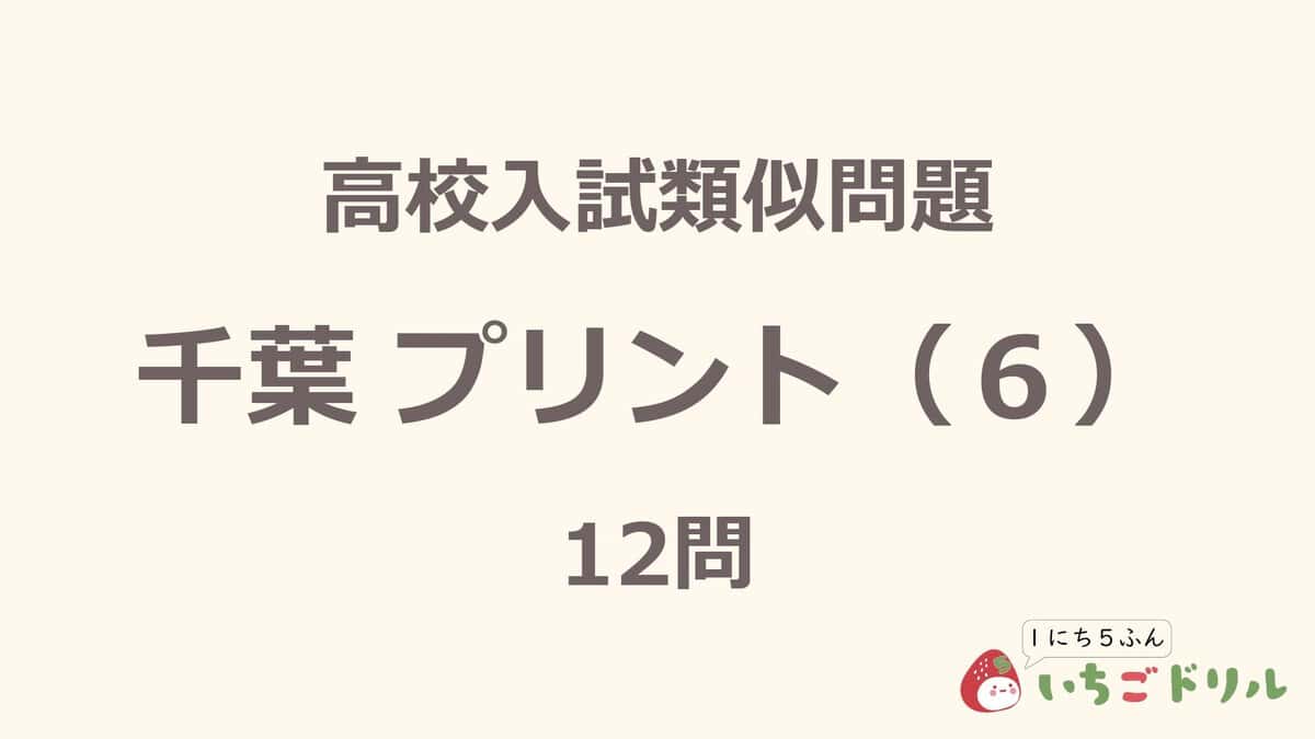 千葉プリント 6