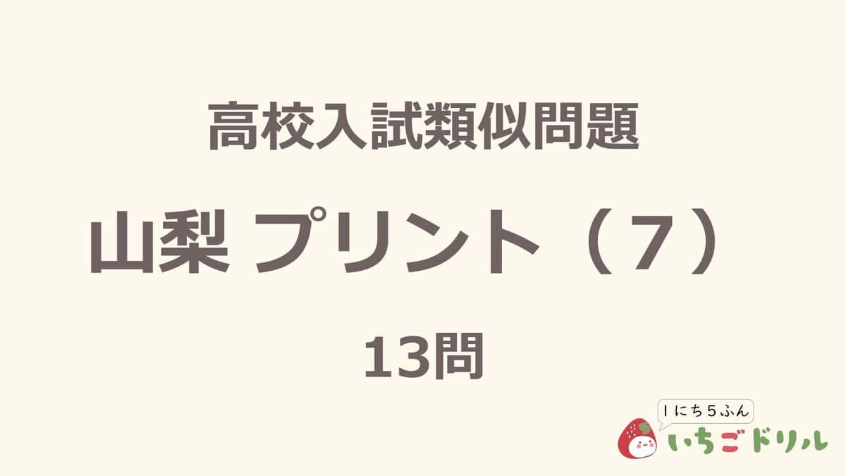 山梨プリント 7
