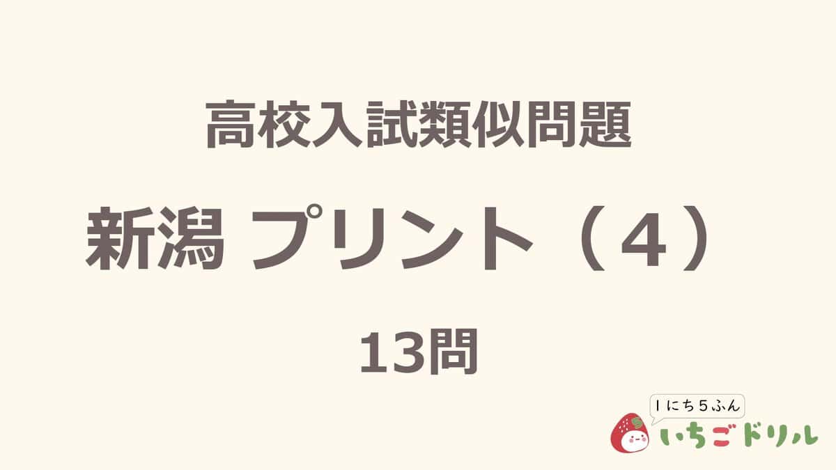 新潟プリント 4