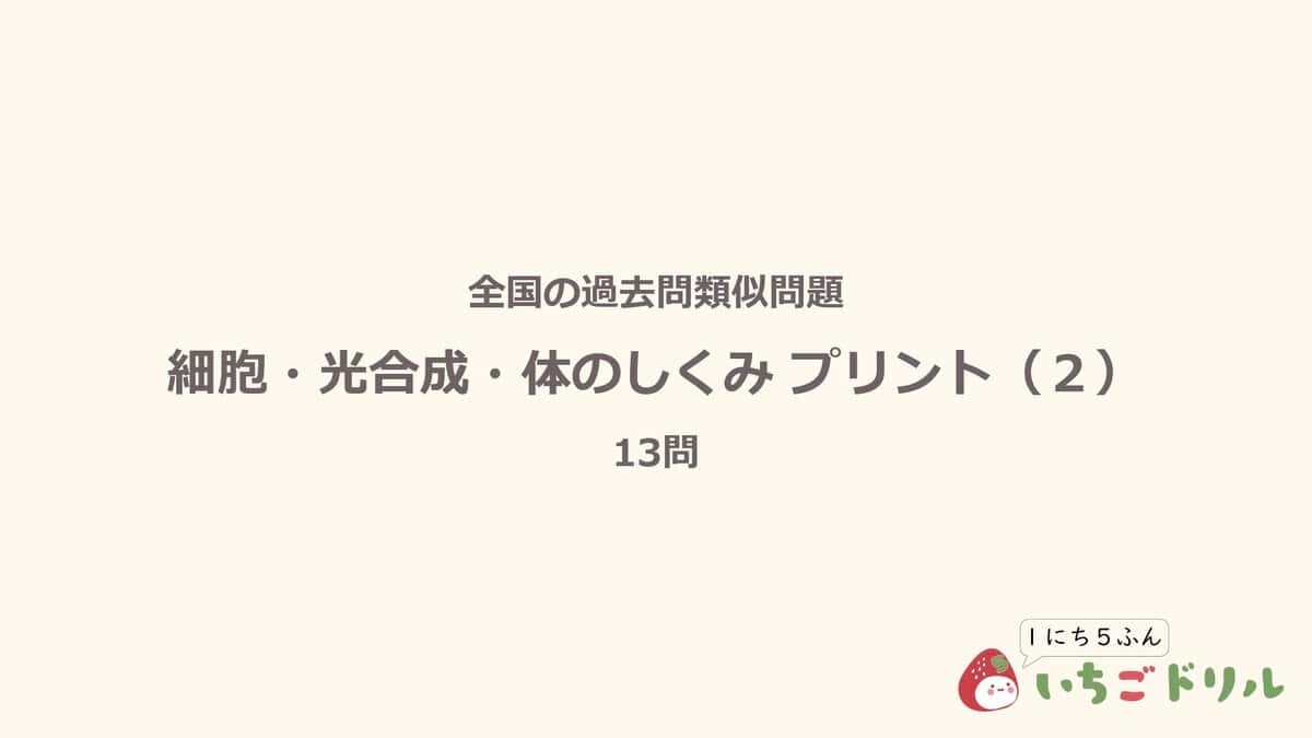 細胞・光合成・体のしくみプリント 2