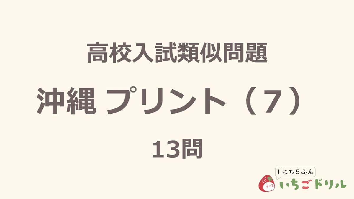 沖縄プリント 7