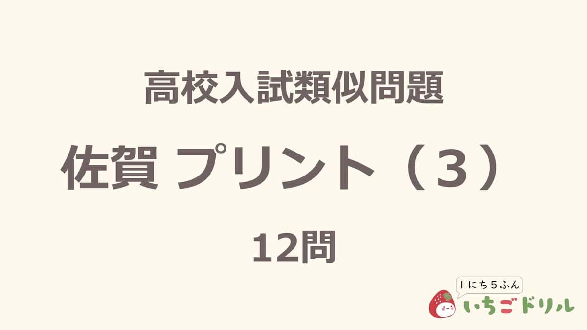 佐賀プリント 3