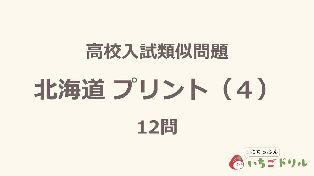 北海道プリント 4