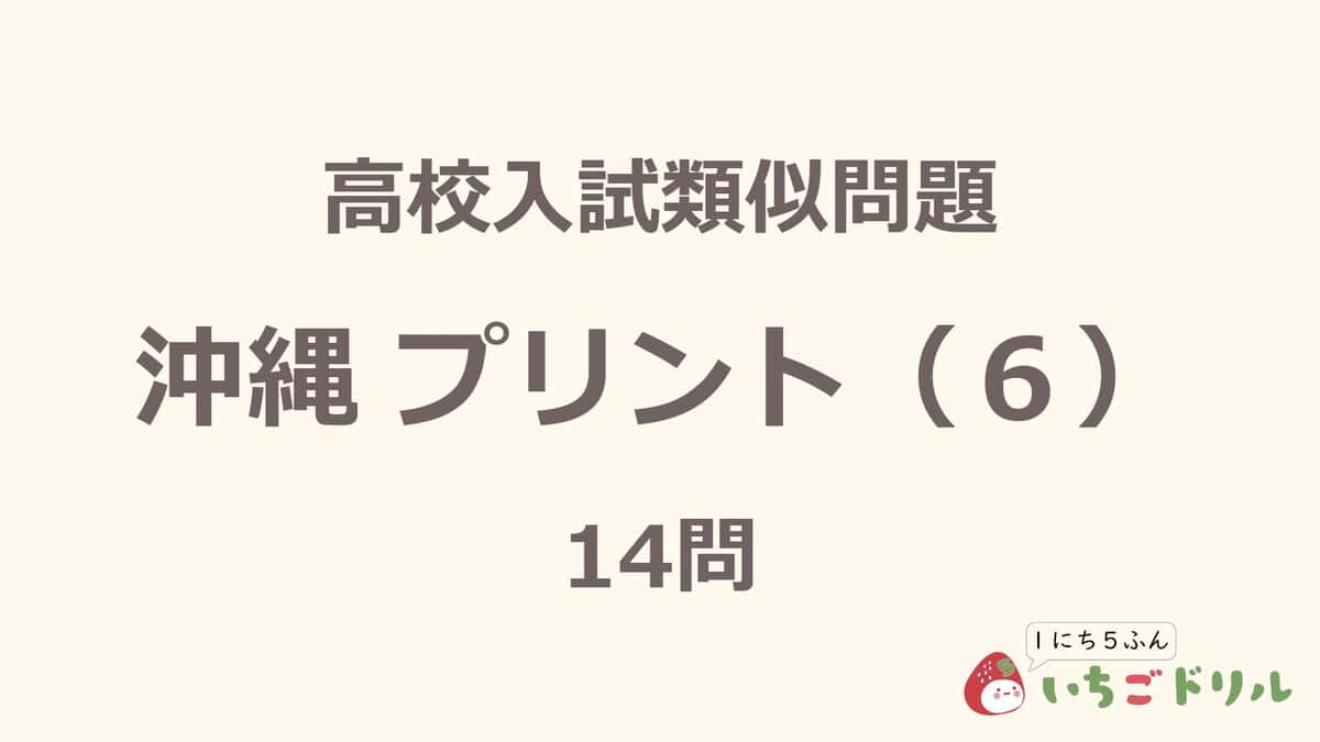 沖縄プリント 6