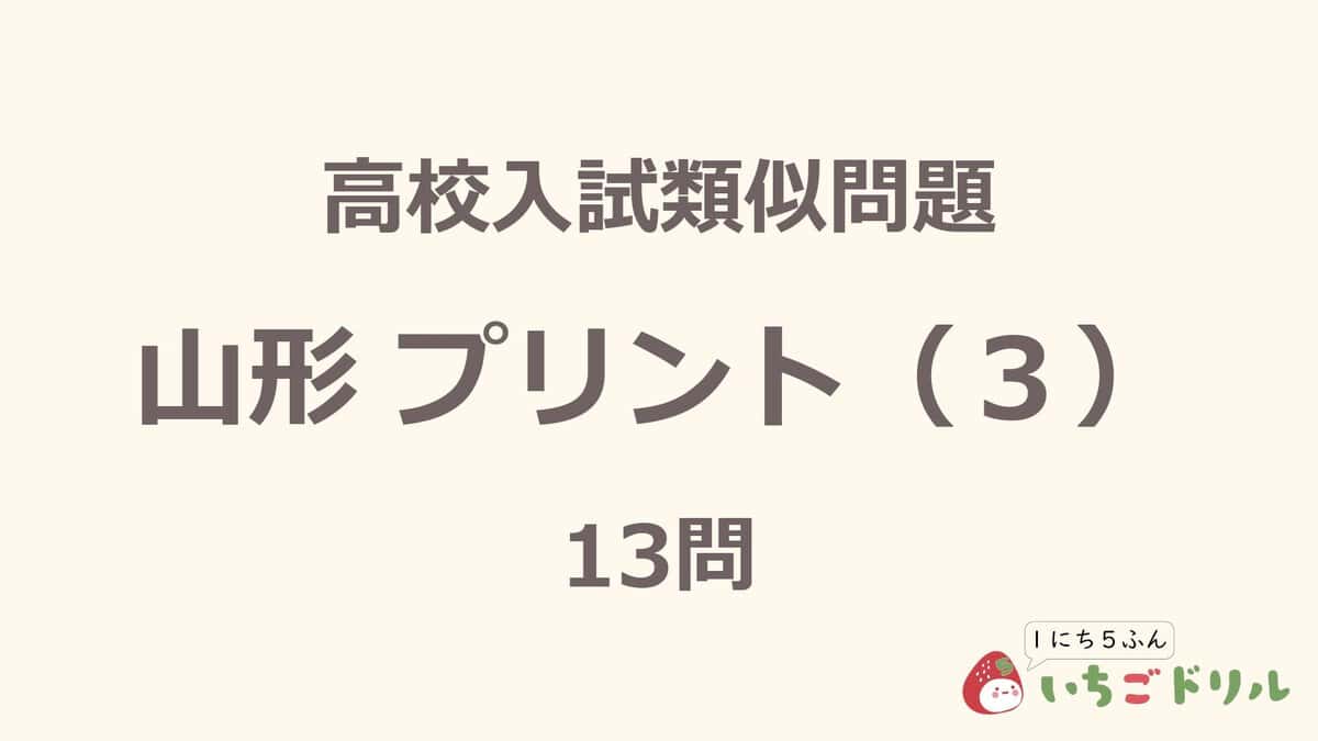 山形プリント 3
