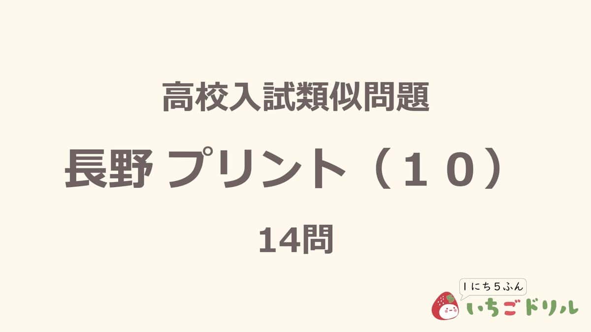 長野プリント 10