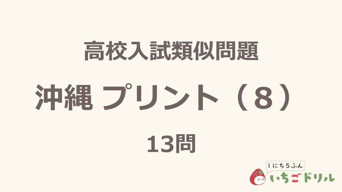 沖縄プリント 8