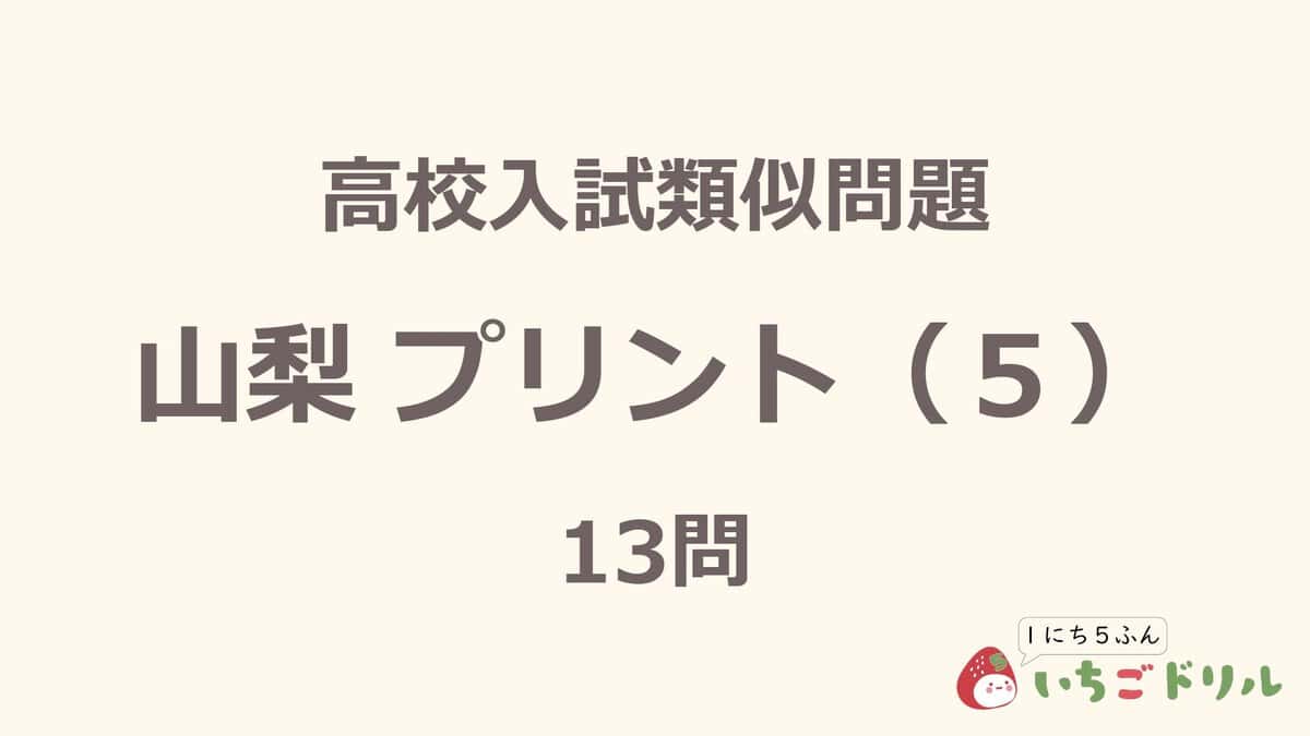 山梨プリント 5