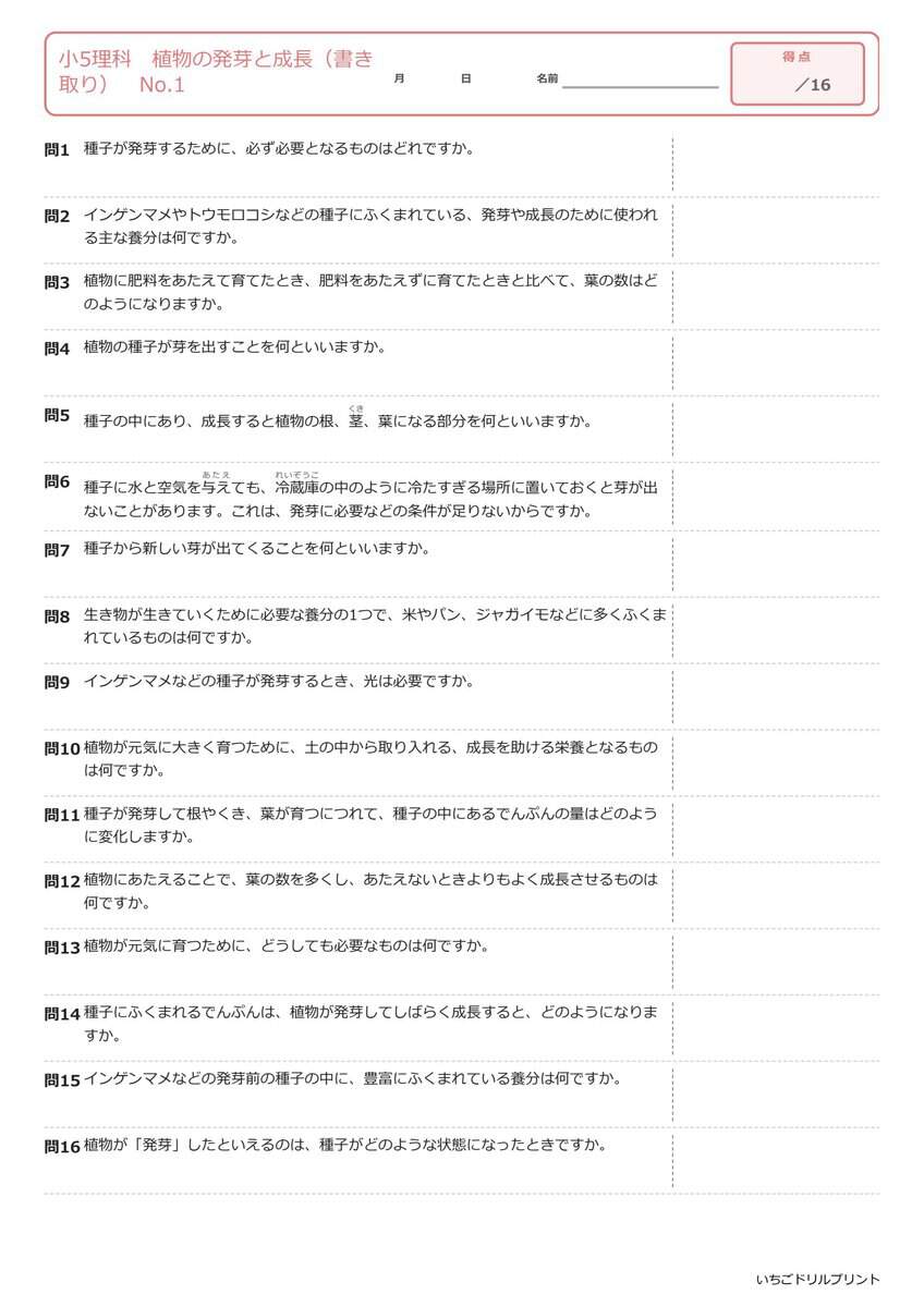 小5理科書き取りプリント見本