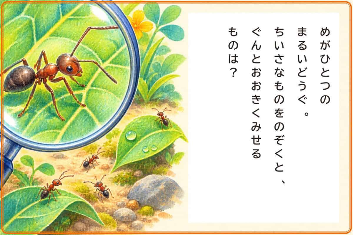 めがひとつのまるいどうぐ。
ちいさなものをのぞくと、
ぐんとおおきくみせるものは？
