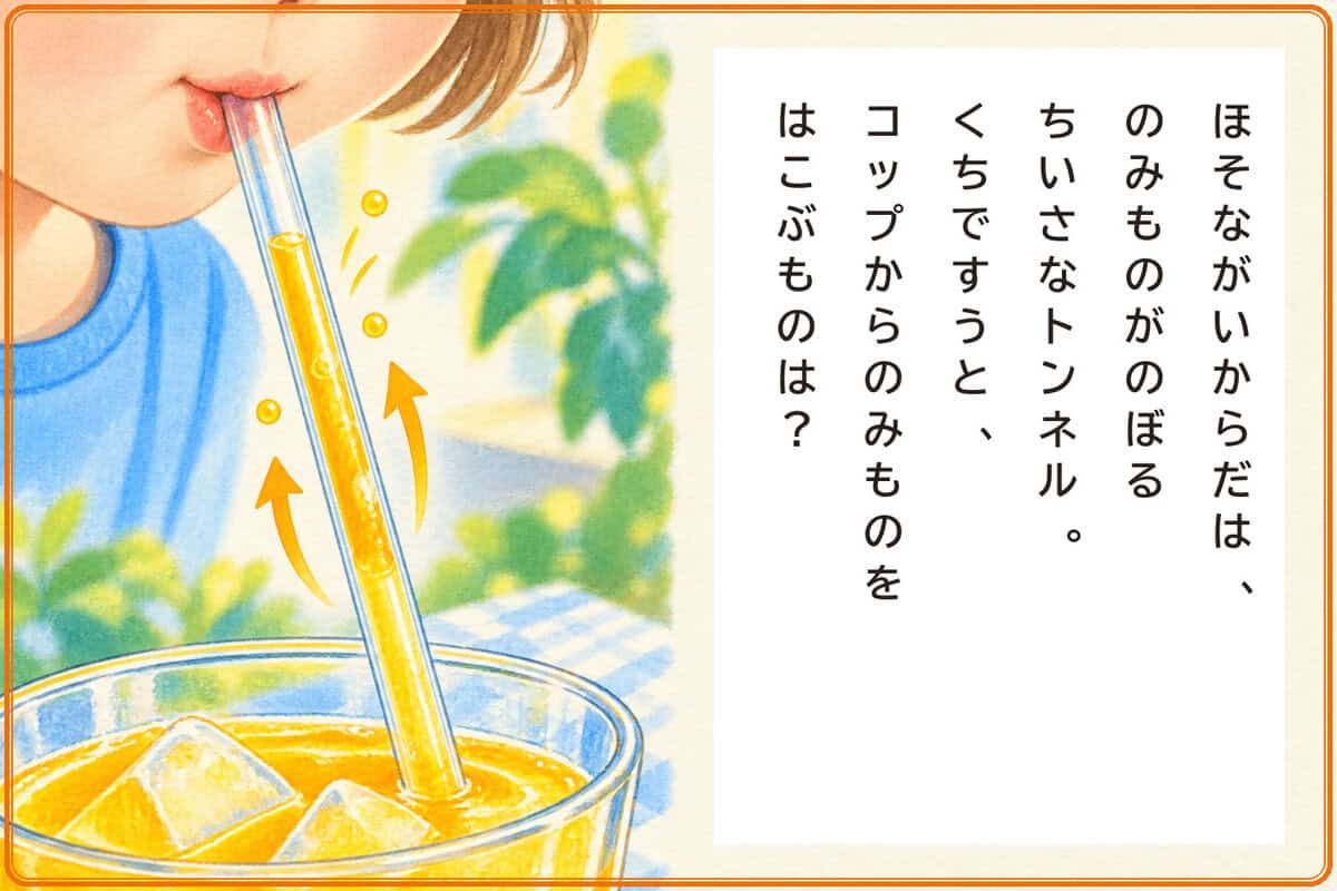 ほそながいからだは、
のみものがのぼるちいさなトンネル。
くちですうと、コップからのみものをはこぶものは？