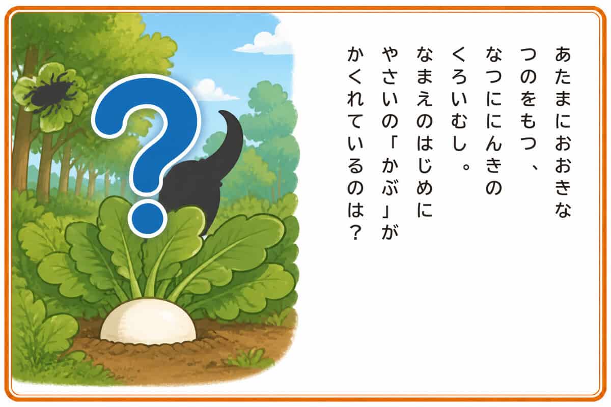 あたまにおおきなつのをもつ、
なつににんきのくろいむし。
なまえのはじめにやさいの「かぶ」がかくれているのは？