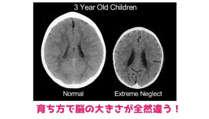 ２歳児用ポピー「ももちゃん」をご検討中の方へ