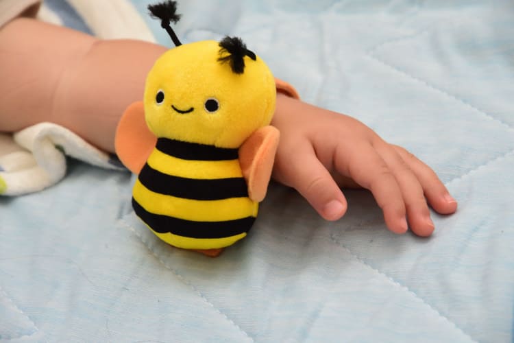 こどもちゃれんじベビーの人形は手につけられる