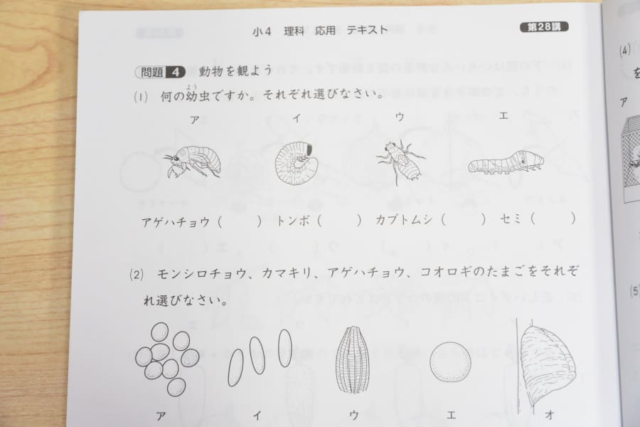 Z会小学生４年生コース