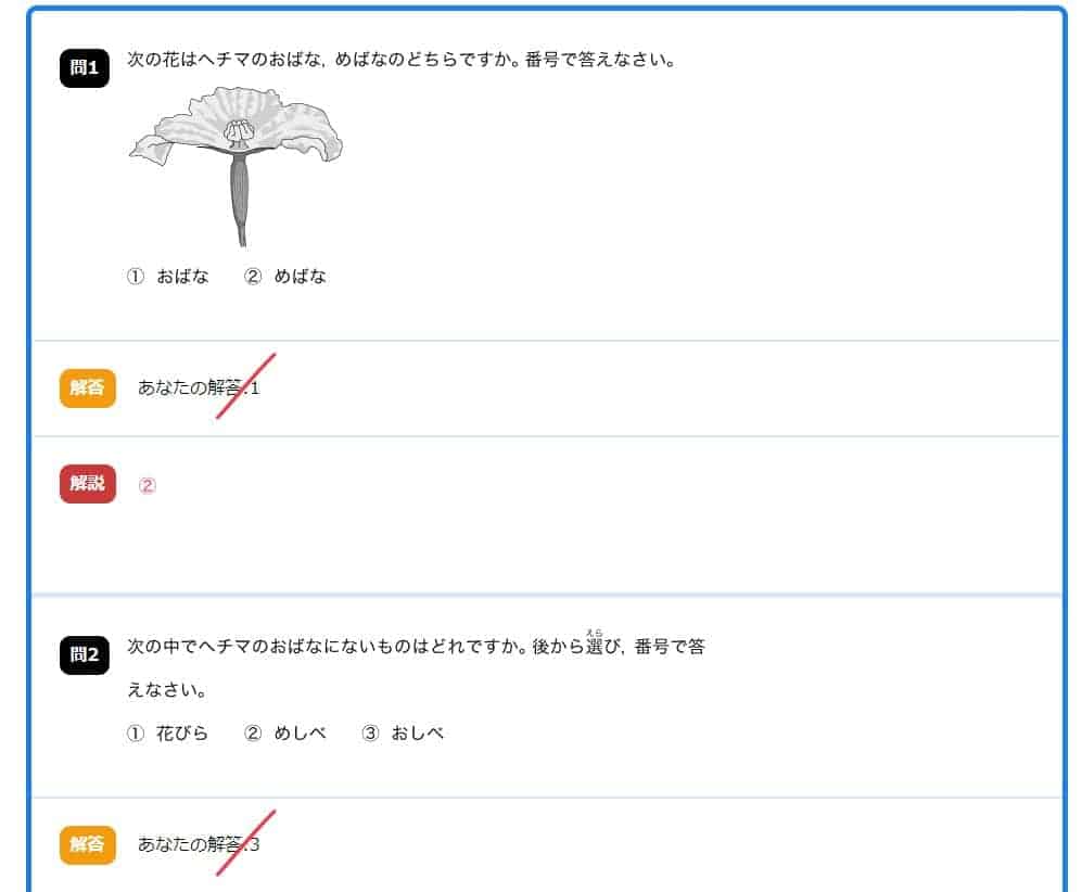 スタディサプリのサプモン攻略！アプリからや高校生は利用できないから注意 | いちごドリル