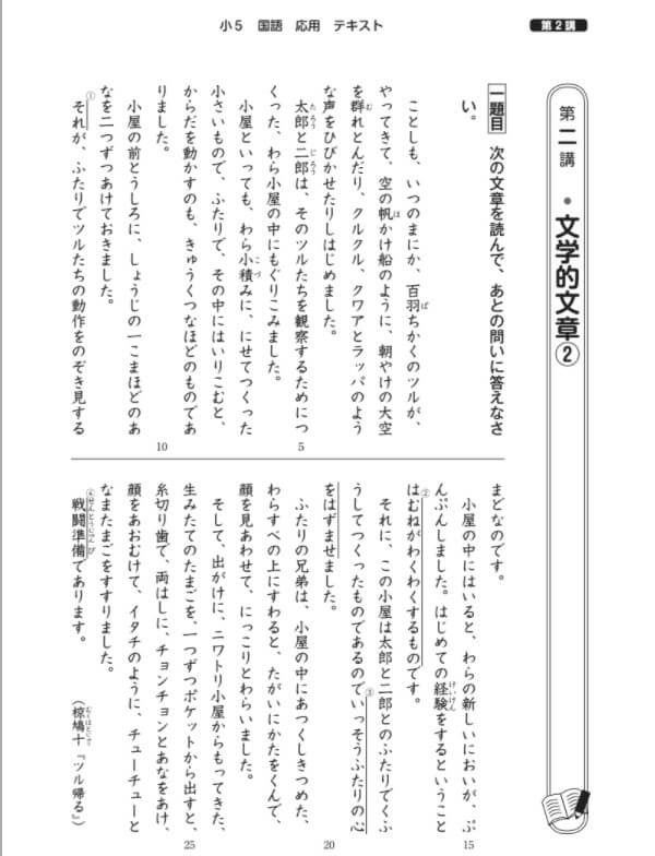 スタディサプリ国語の応用
