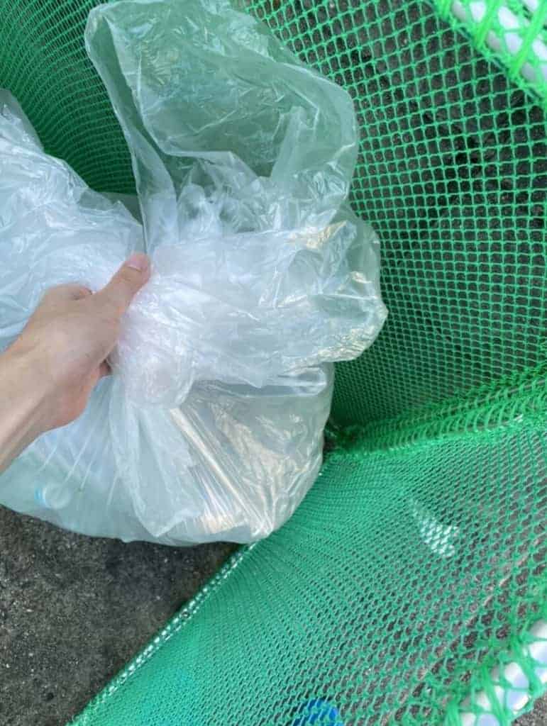 スタディサプリをゴミ出し中に聞き流し