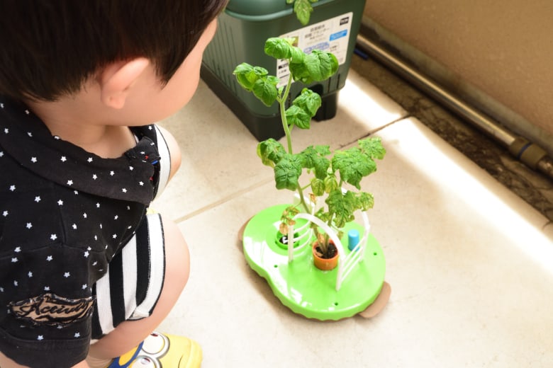 進研ゼミ小学生講座のサイエンスブック(トマトの栽培)