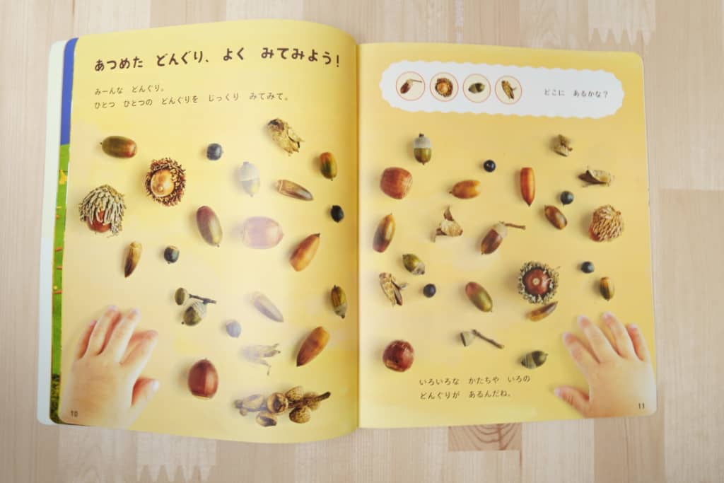 こどもちゃれんじほっぷメインテキスト例