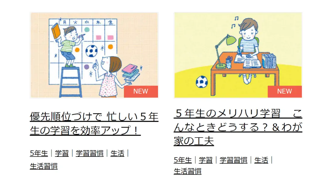 進研ゼミ小学講座の写真