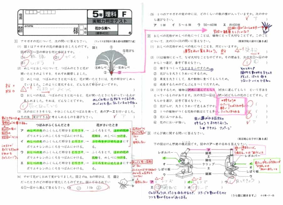 学研理科添削見本